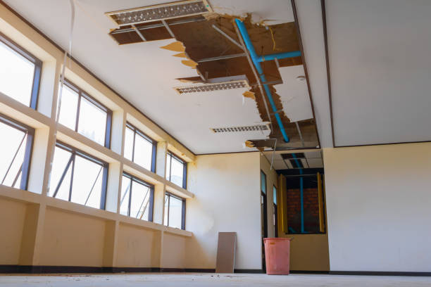 Best 24-hour water damage restoration  in Matoaca, VA
