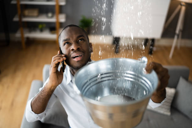 Best Ceiling water damage repair  in Matoaca, VA