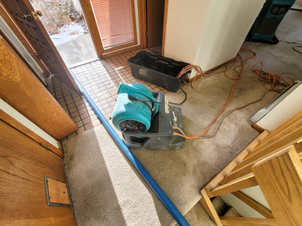 Best Sewage cleanup and water damage restoration  in Matoaca, VA