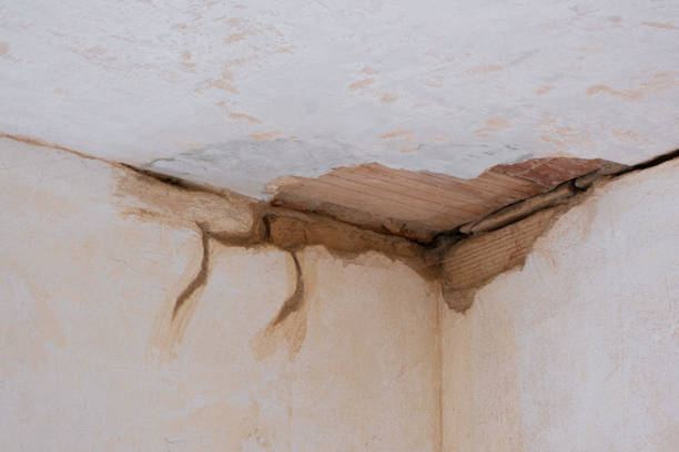Best Local water damage restoration  in Matoaca, VA