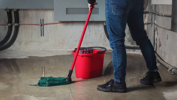 Best Professional water damage repair  in Matoaca, VA
