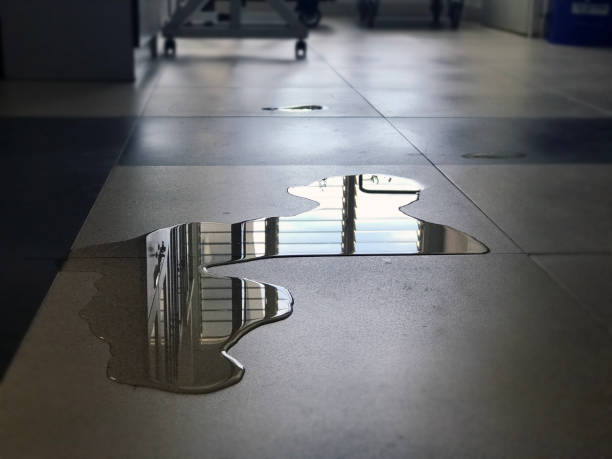 Best Water damage restoration specialists  in Matoaca, VA