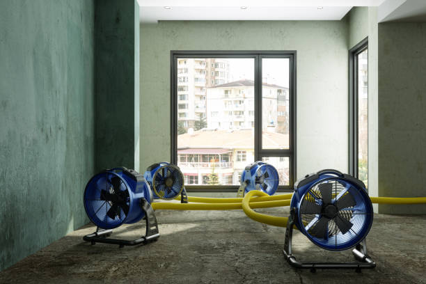 Best Basement water damage restoration  in Matoaca, VA