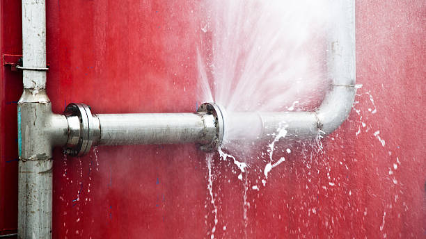 Best Carpet water damage restoration  in Matoaca, VA